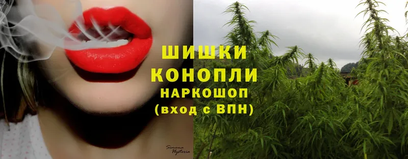 продажа наркотиков  Крым  Бошки Шишки OG Kush 